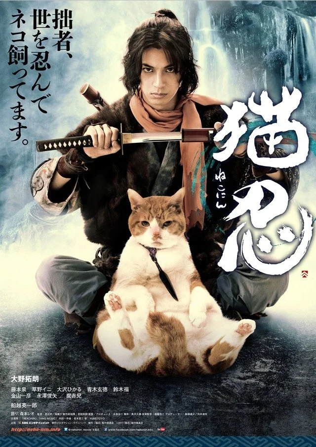 Ниндзя и кот - главный постер